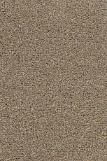 Ковролин AW Stainguard Harvest 34 фото 1 | FLOORDEALER